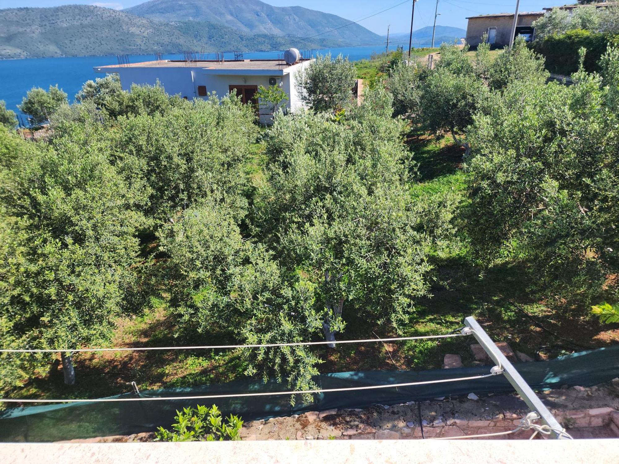 Villa Merka Ksamil Zewnętrze zdjęcie